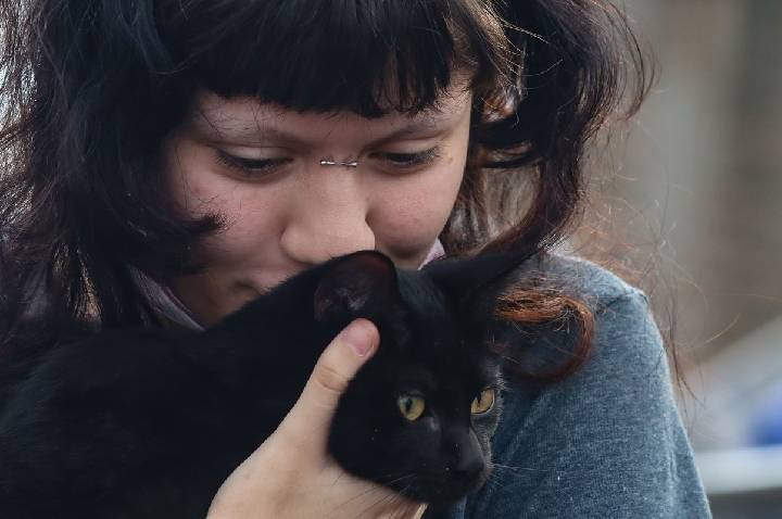 Programa da Prefeitura de SP faz castração gratuita de cães e gatos