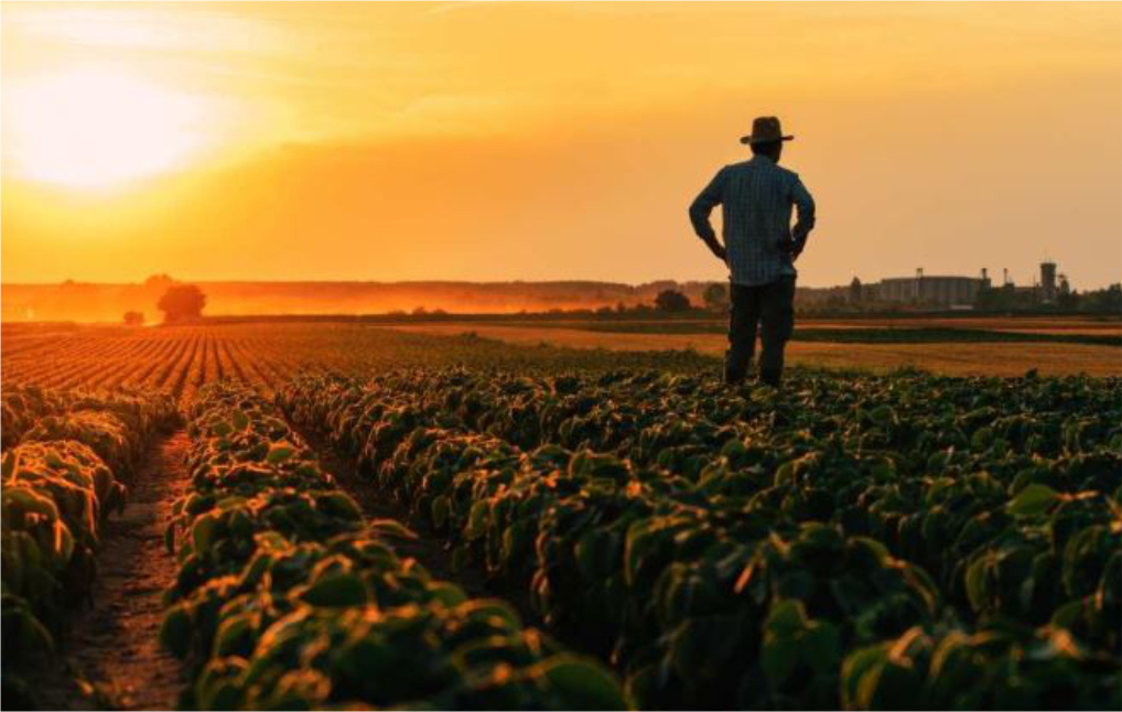 28 de Julho: O Valor do Agricultor e a Força do Cooperativismo