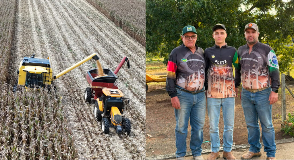 Agricultor paranaense triplica a produtividade do milho e estabelece recorde nacional