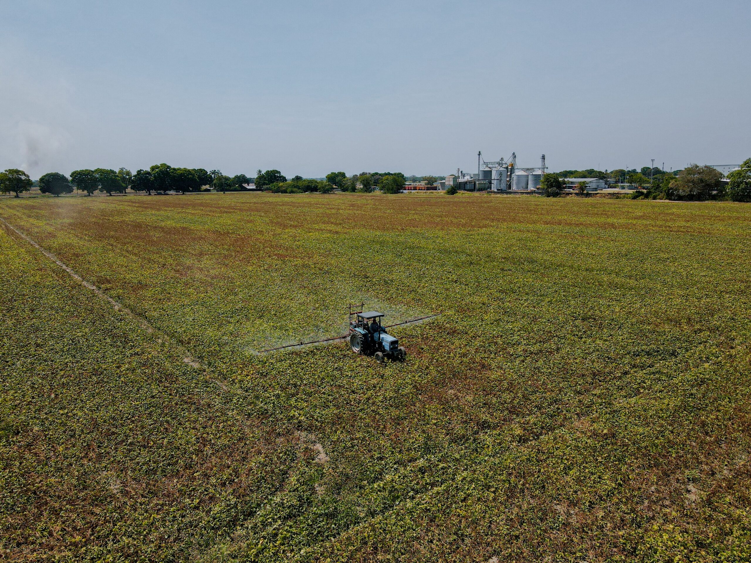 Brasil é o mercado mais atrativo de pesticidas do mundo