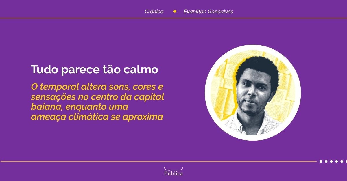 Tudo parece tão calmo