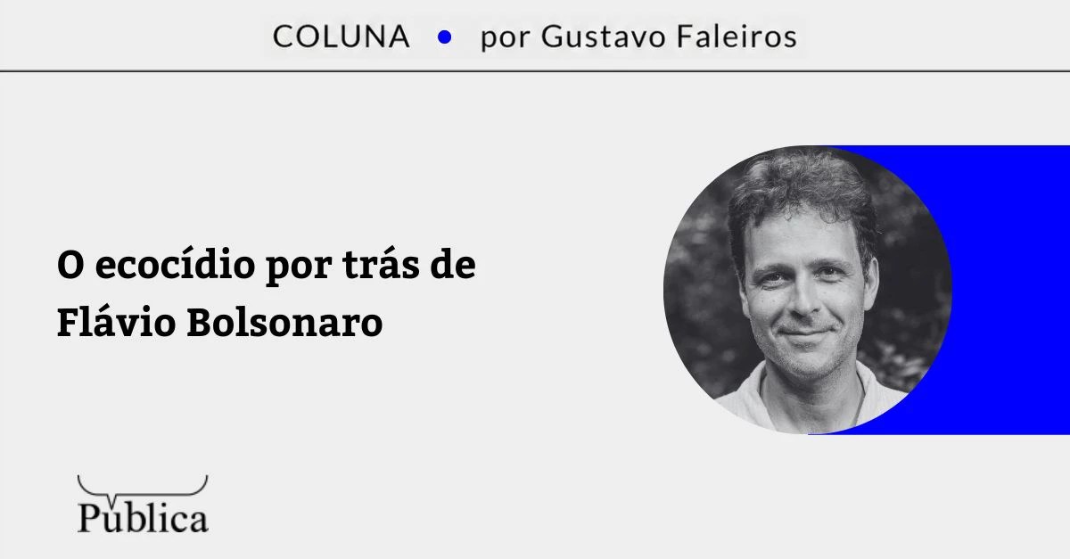 O ecocídio por trás de Flávio Bolsonaro