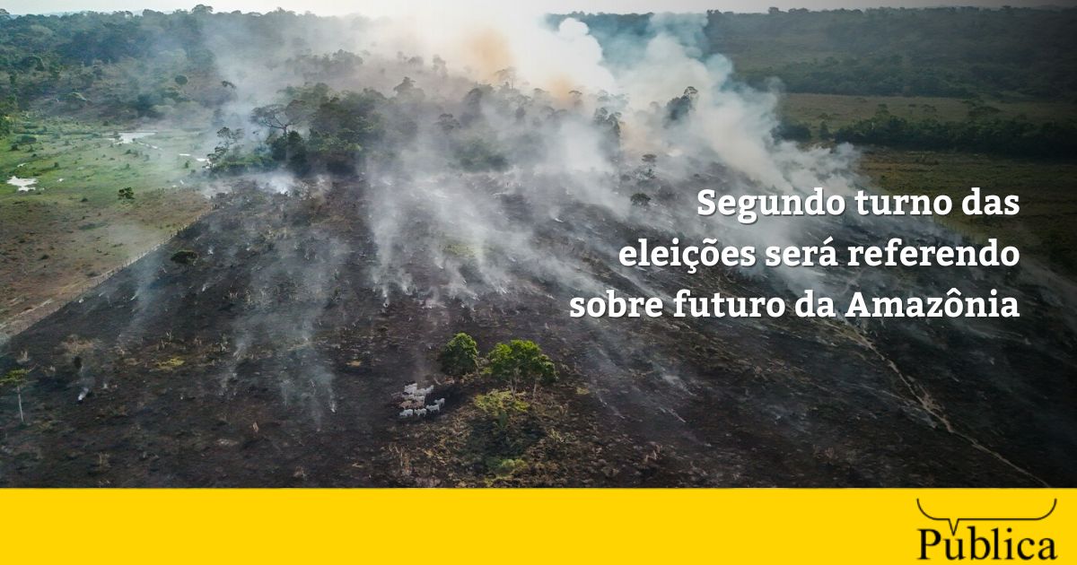 Segundo turno das eleições será referendo sobre futuro da Amazônia