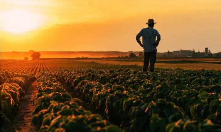 28 de Julho: O Valor do Agricultor e a Força do Cooperativismo
