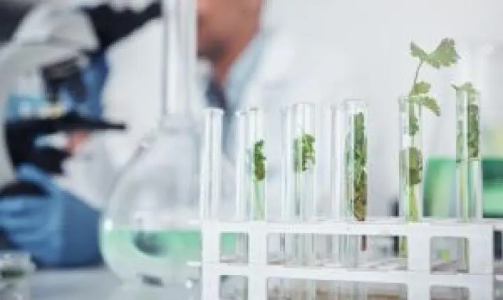 Biodiversidade e pesquisa podem colocar Brasil na liderança global dos bioinsumos