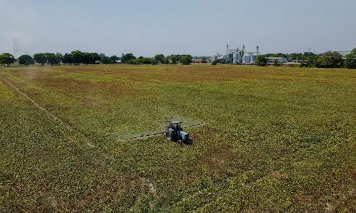 Brasil é o mercado mais atrativo de pesticidas do mundo