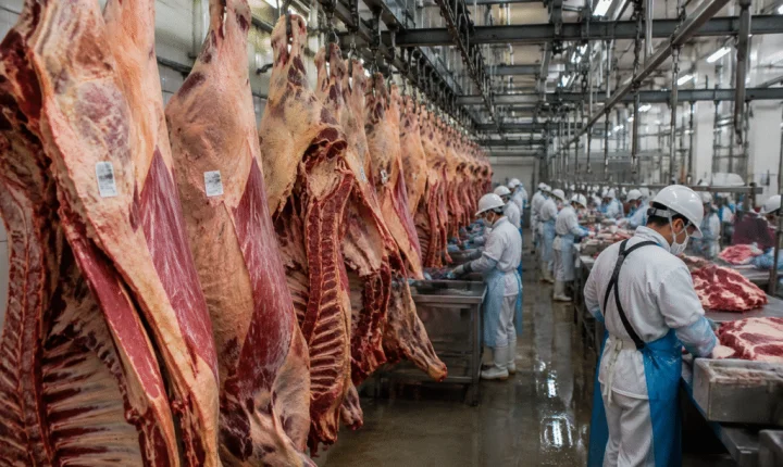 Coreia avança para abrir mercado à carne brasileira