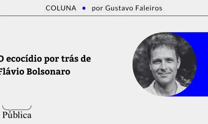 O ecocídio por trás de Flávio Bolsonaro