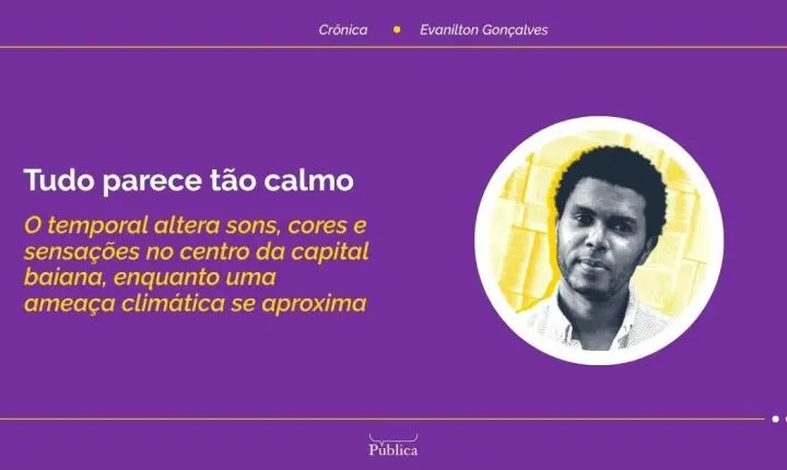 Tudo parece tão calmo